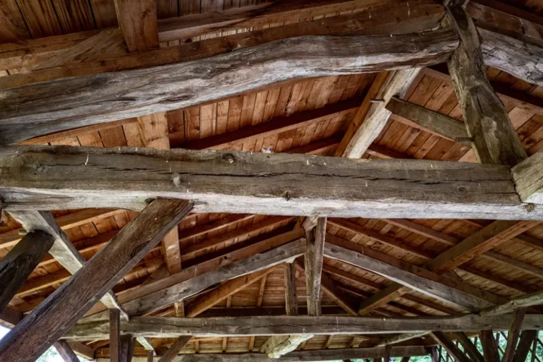 Traitement Charpente